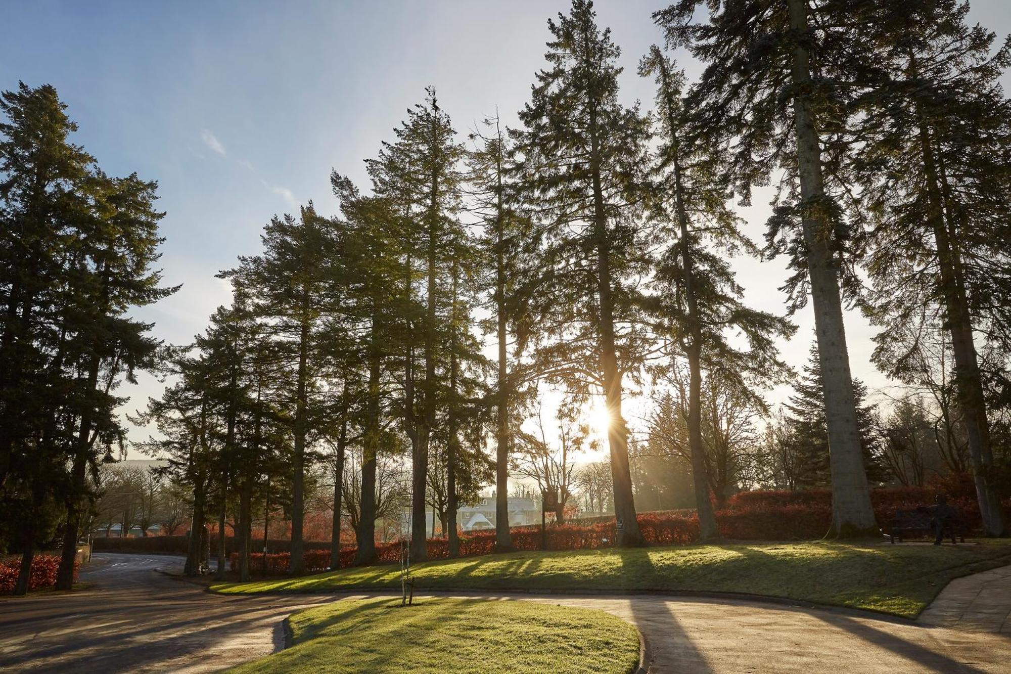 Cairn Lodge Auchterarder Eksteriør billede